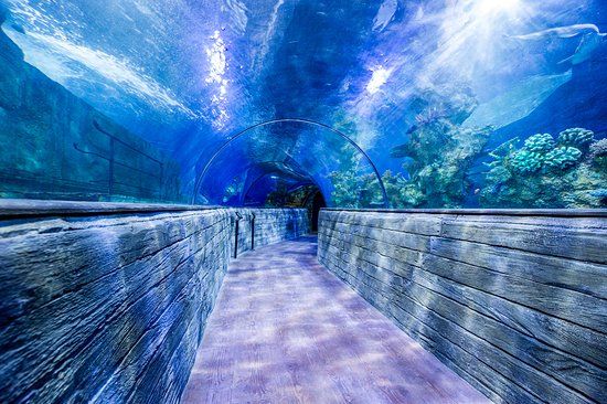 Nationaal aquarium van Malta