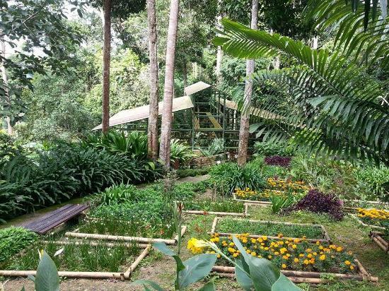 Botanical Garden