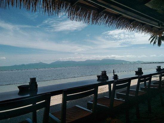 Mimosa Restaurant