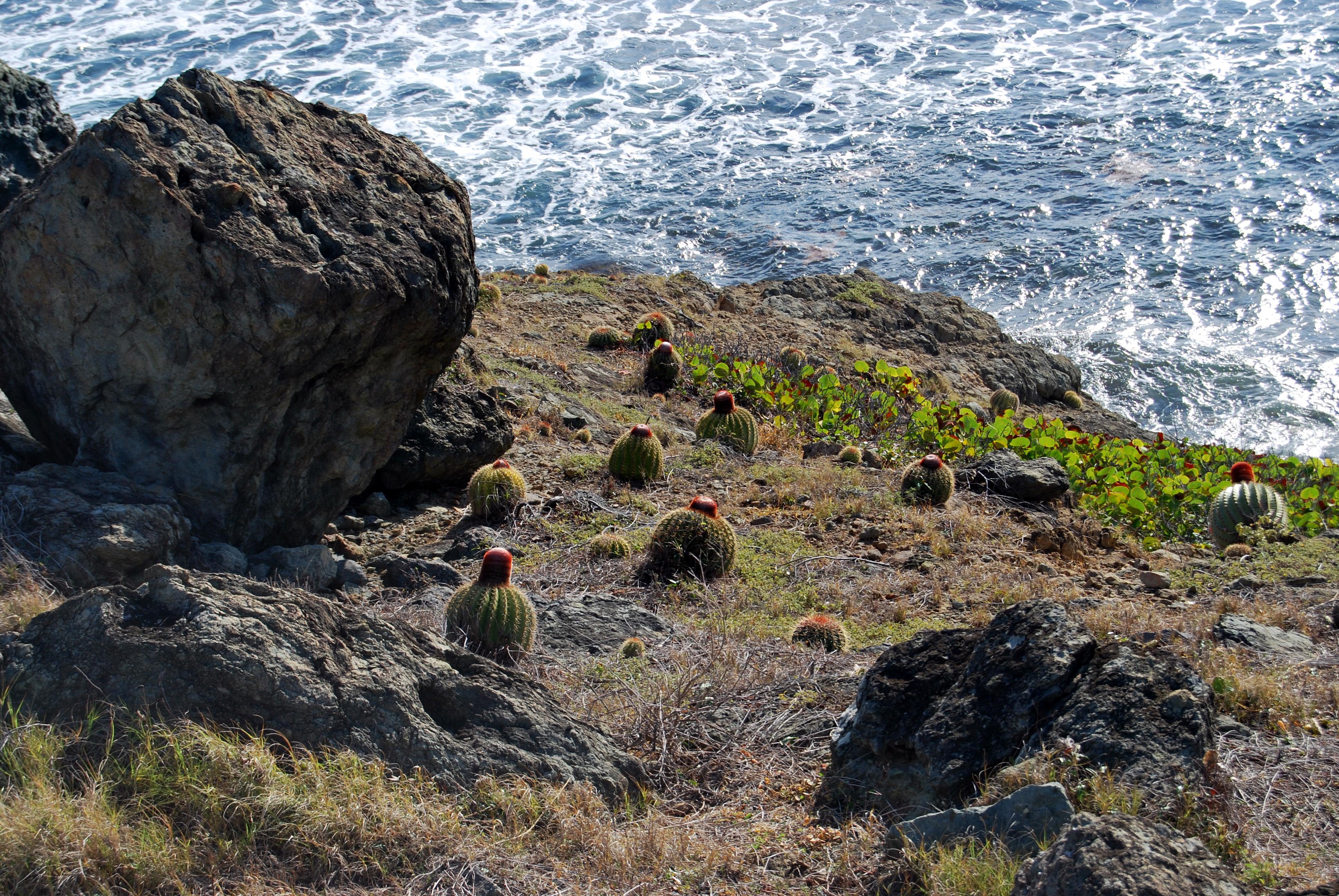Babit Point