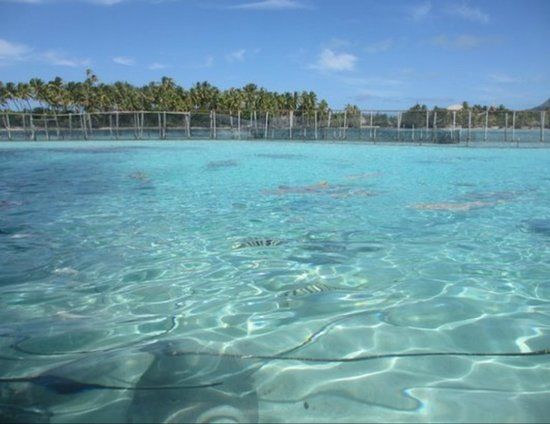 Lagunarium van Bora Bora