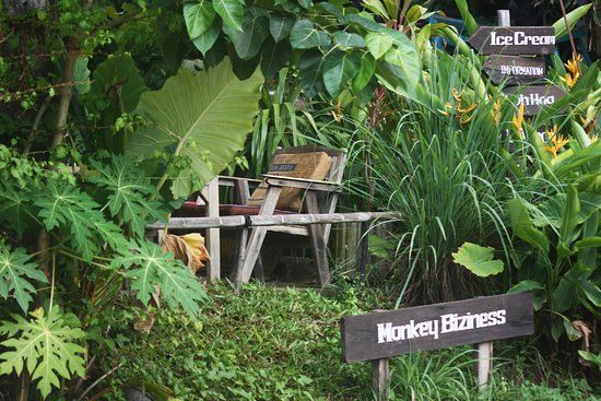 Monkey Biziness Cafe