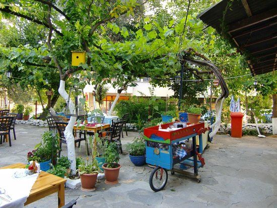 OLD HOUSE Eski Ev