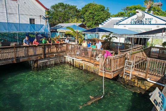 Aquarium van Key West
