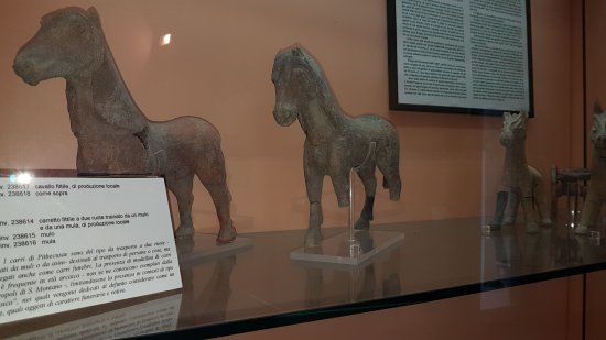 Museo archeologico di Pithecusae