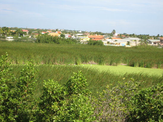 Vogelreservaat Bubali