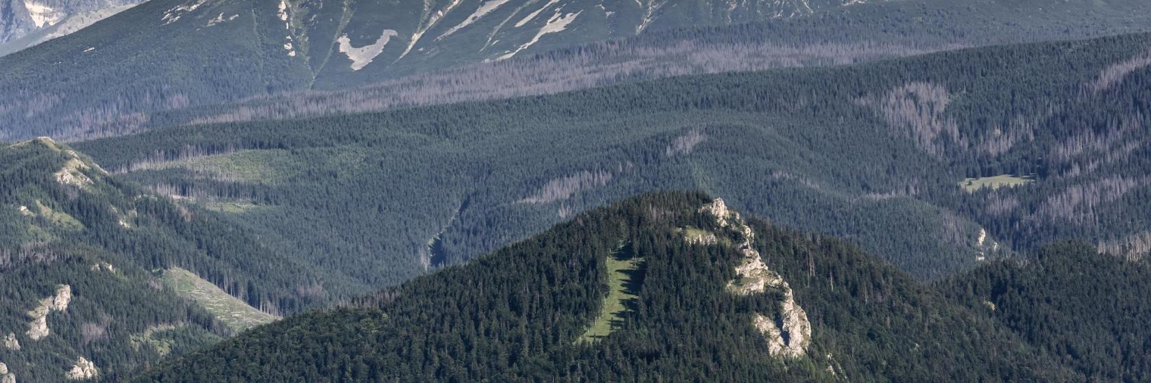Nosal-skiresort