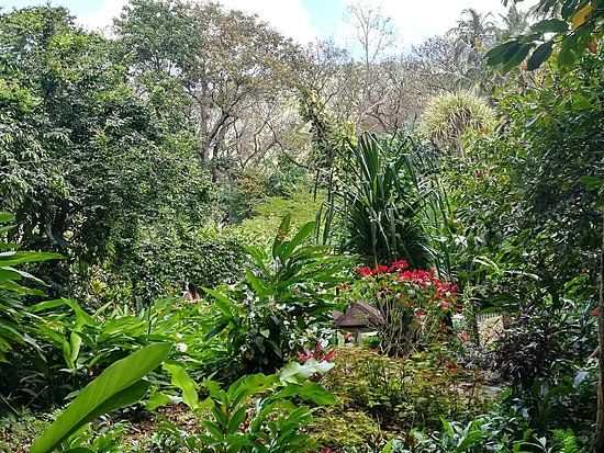 Diamond Falls Botanical Gardens